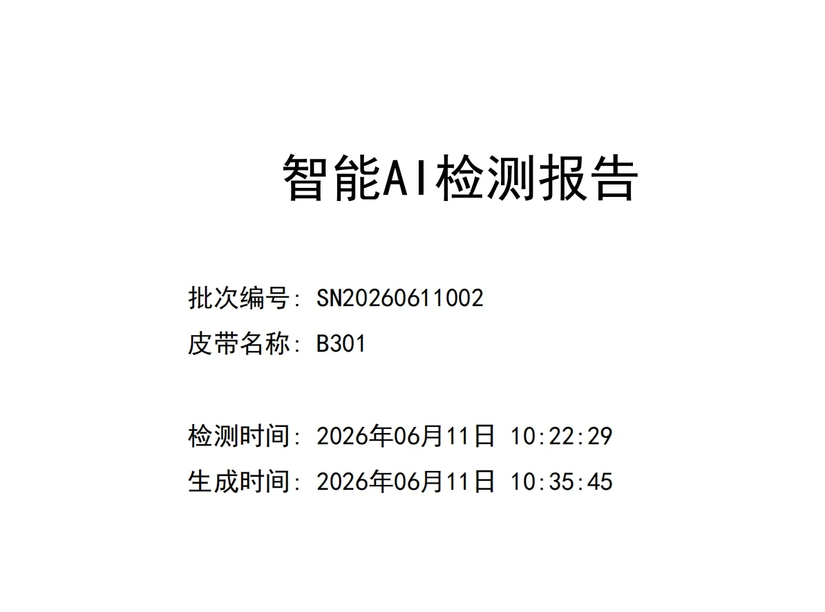 PDF 报告首页